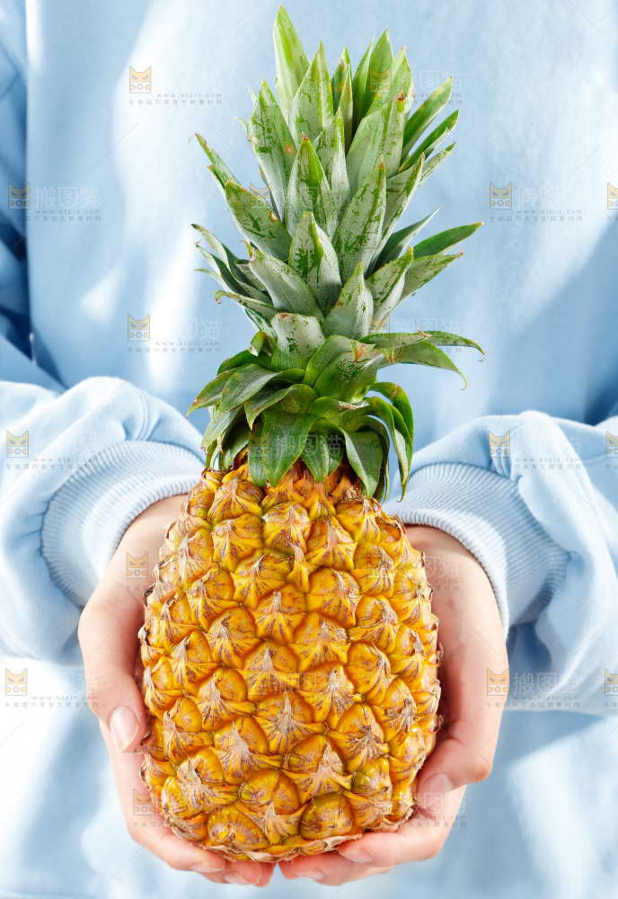 手上拿着凤梨