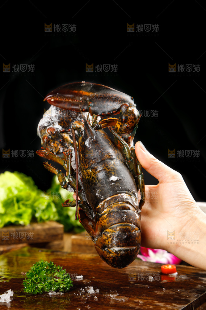 手里拿碰上波士顿龙虾