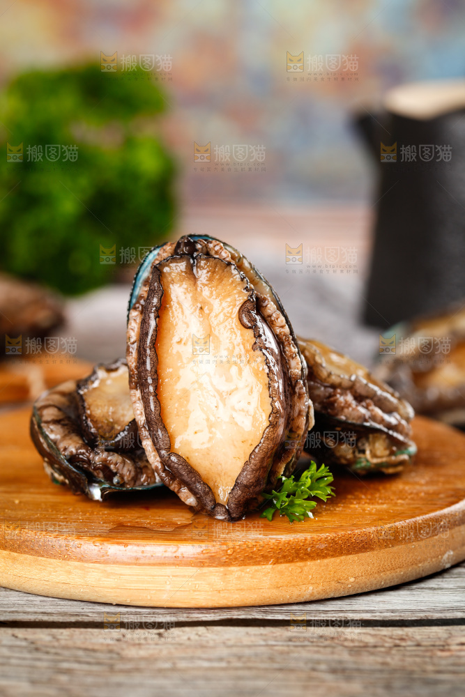 木底上的鲍鱼