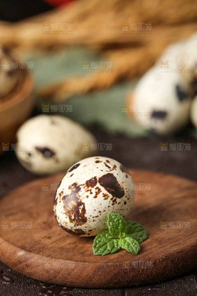 木底上的鹌鹑蛋
