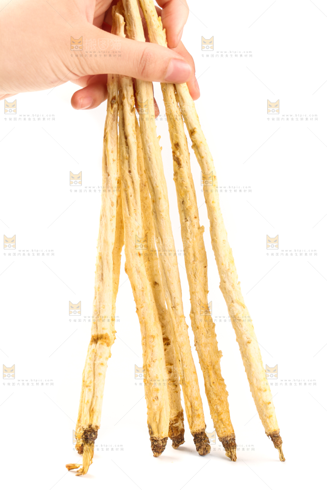 手里拿着沙参
