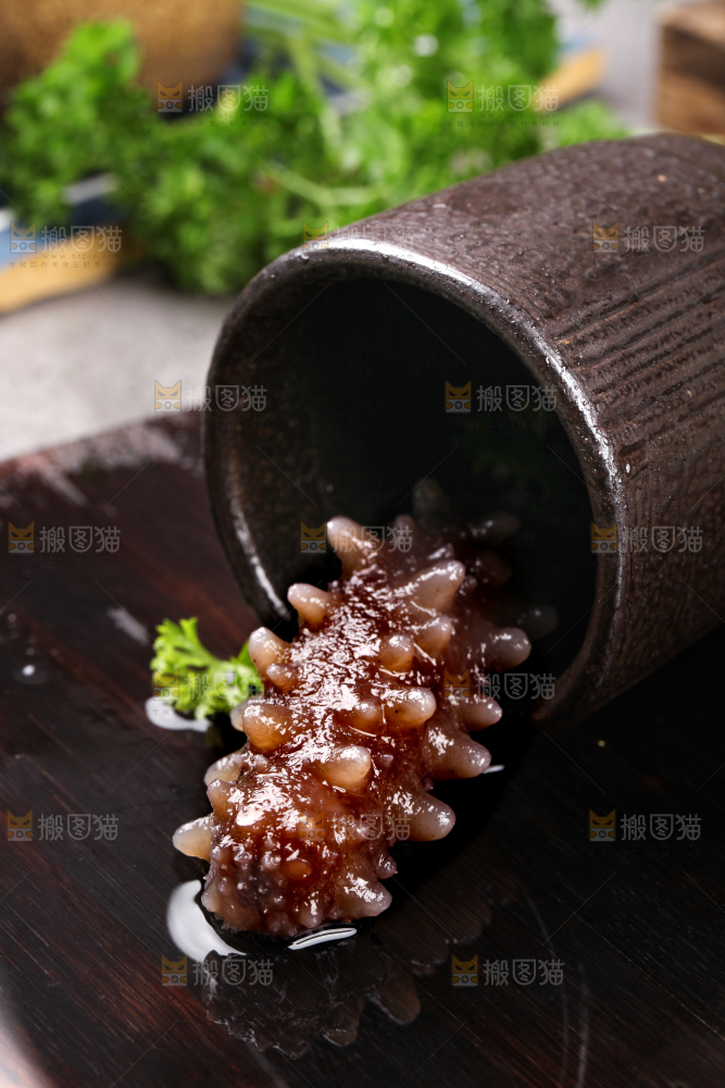 黑底上的海参