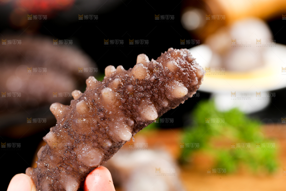手拿海参