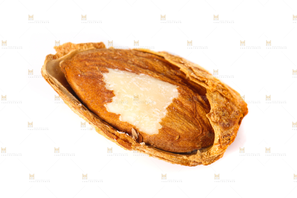 剥壳的扁桃仁放在白底上