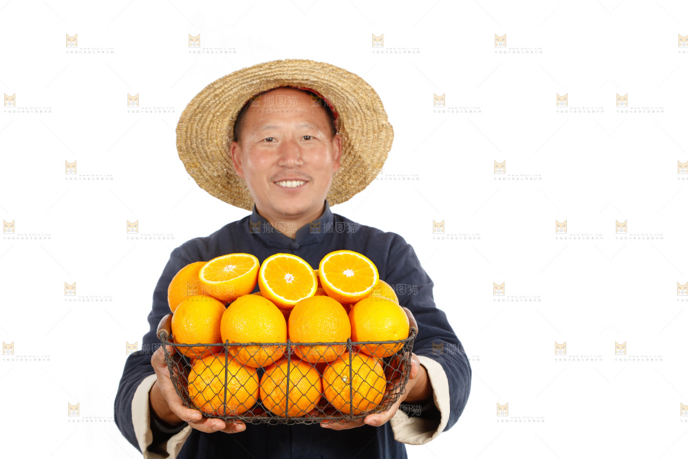 农民手里端着一篮橙子