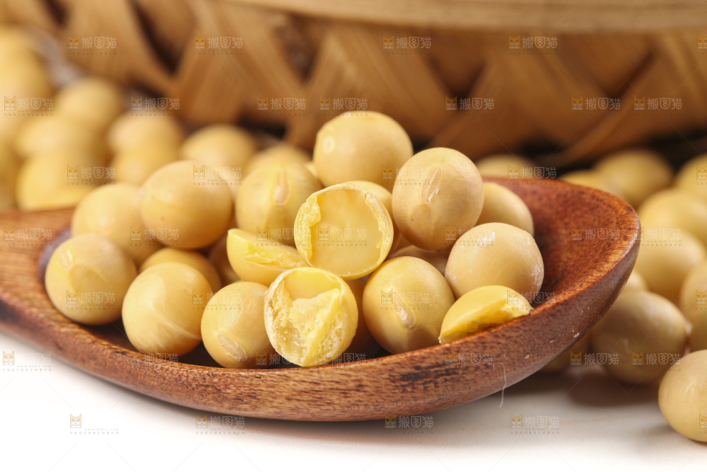 勺子里的黄大豆