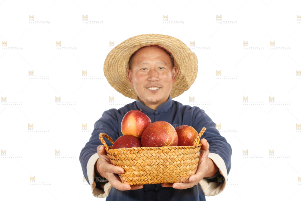 农民手里端着一篮丑苹果