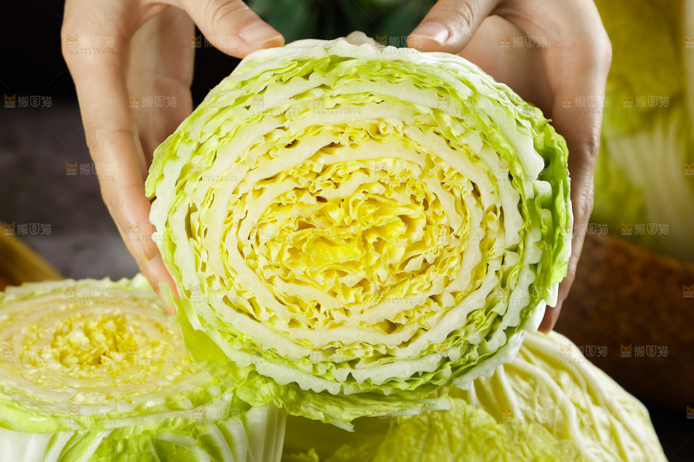 大白菜