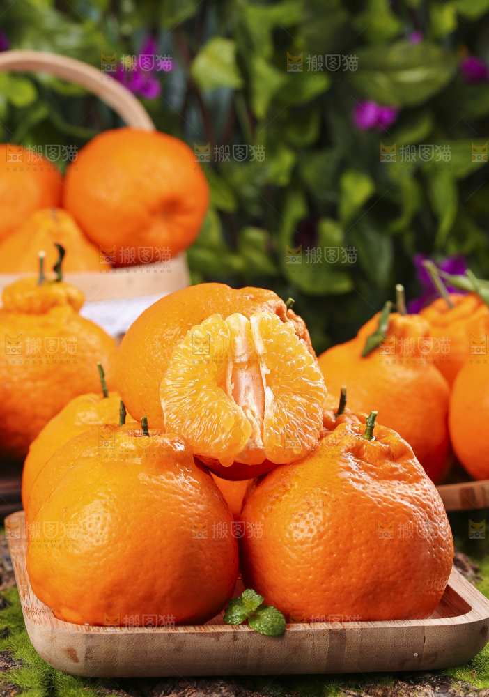 深底上放着四川春见