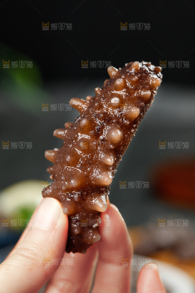手拿刺参