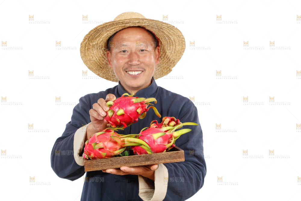 农民手里端着火龙果