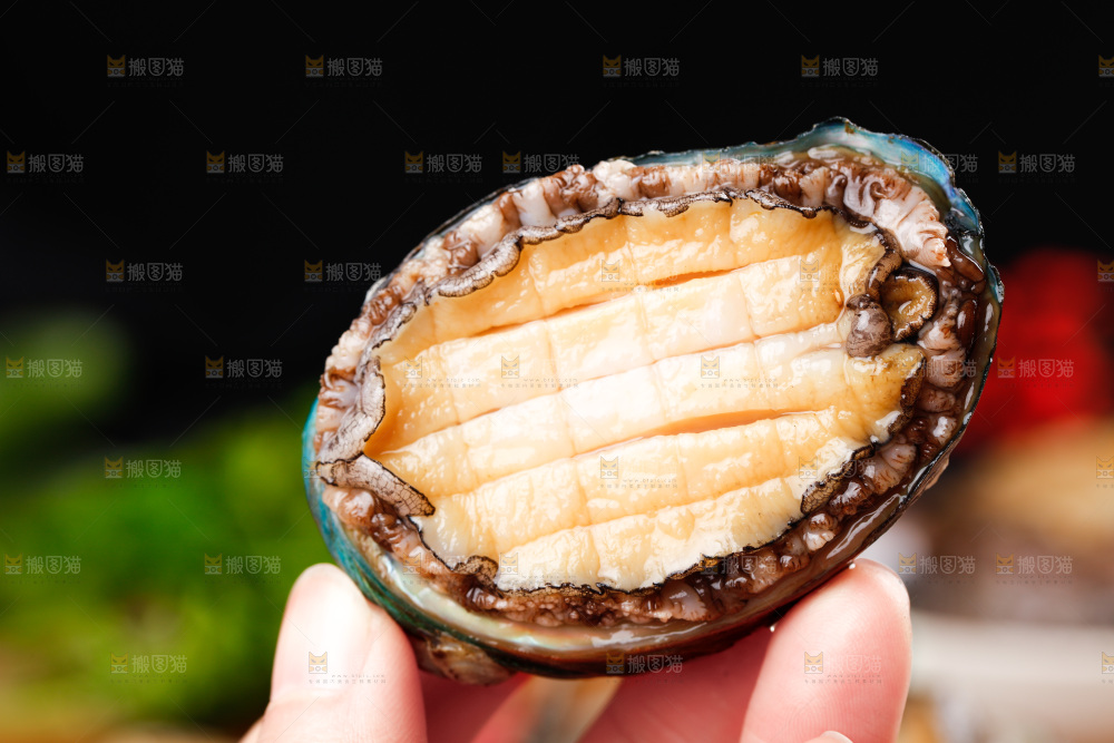手拿鲍鱼