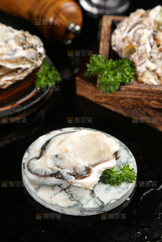 石板上剥开的乳山生蚝