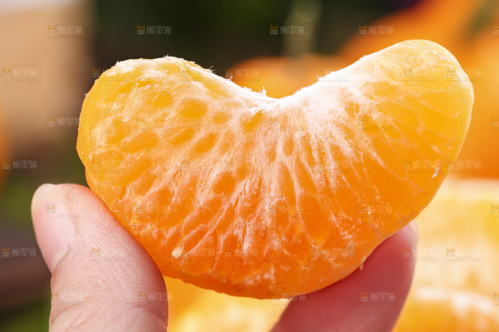 深底上放着四川春见