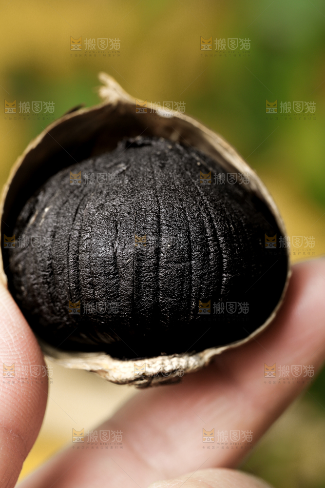 手里拿着黑蒜头