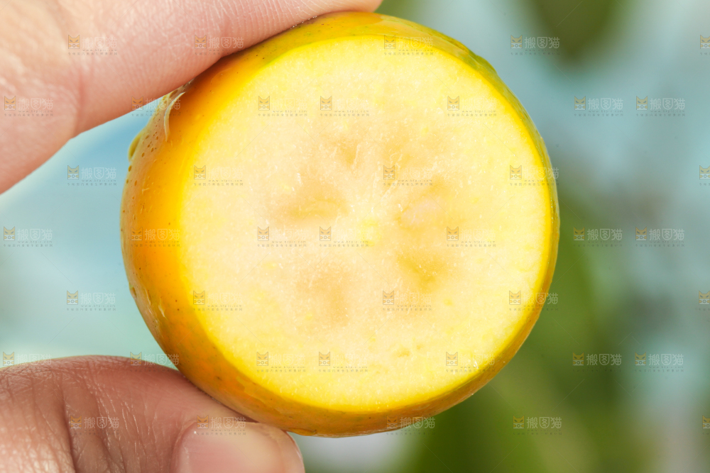 手里拿着小金桔