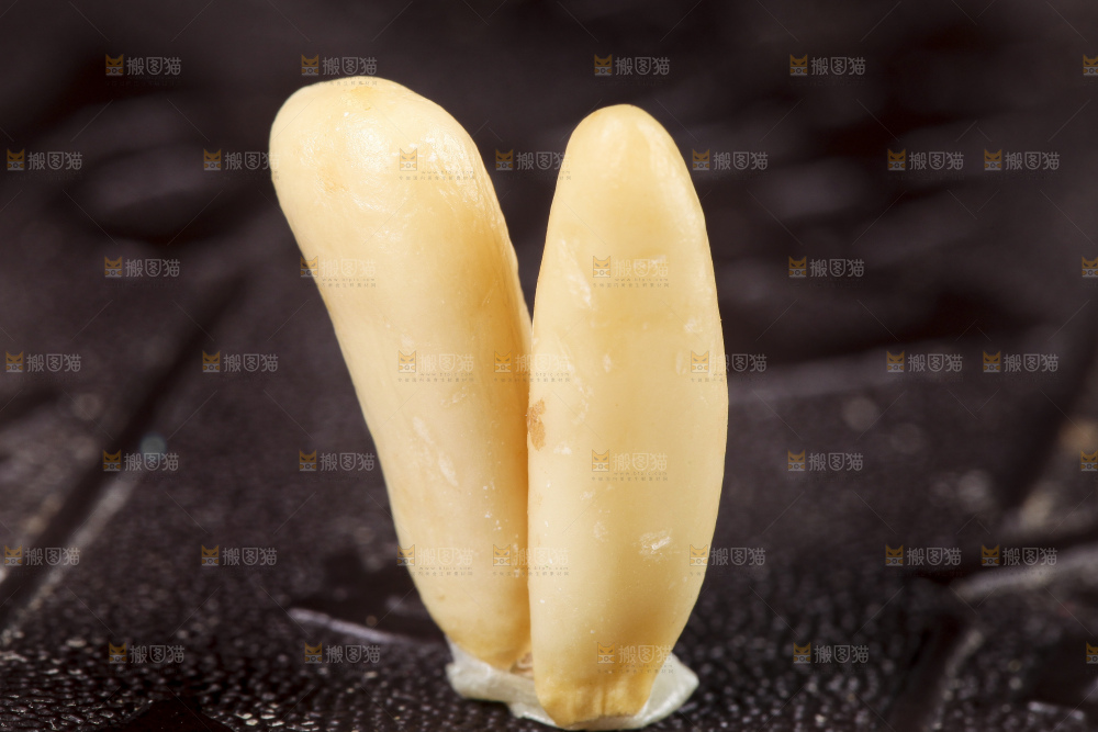 黑底上的巴西松子