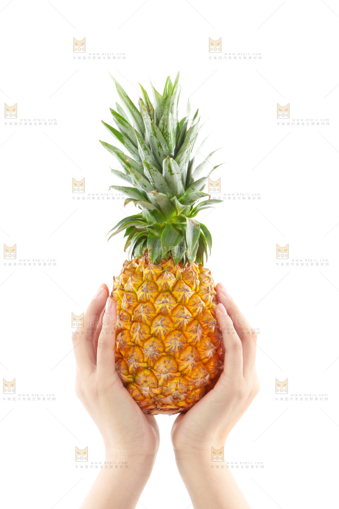 手里捧着凤梨
