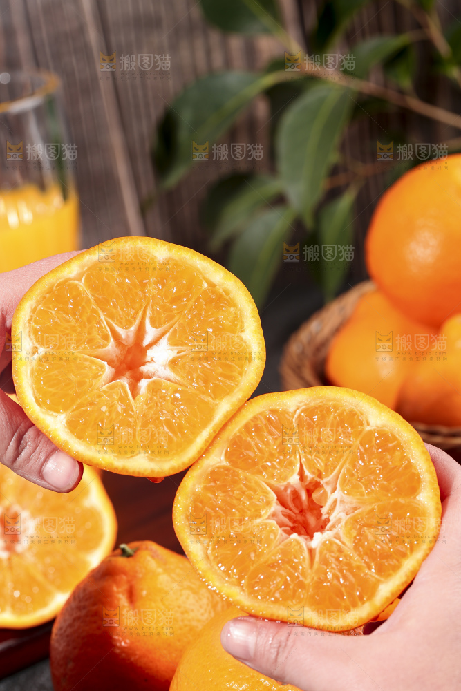 手拿切开的新鲜耙耙柑