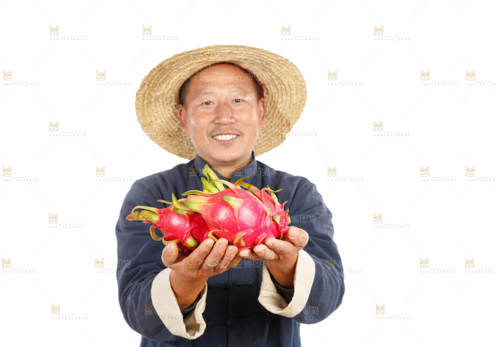 农民手里端着火龙果