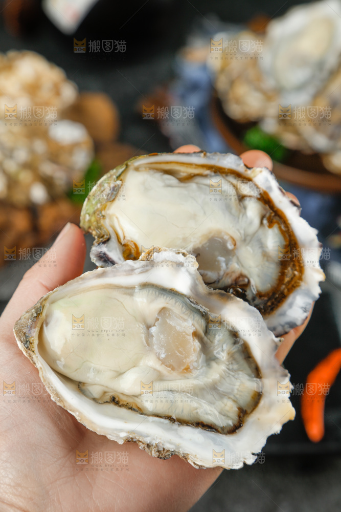 生蚝