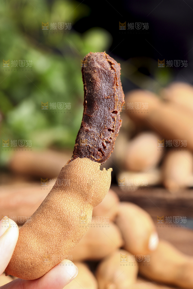 手里拿着带壳罗望子