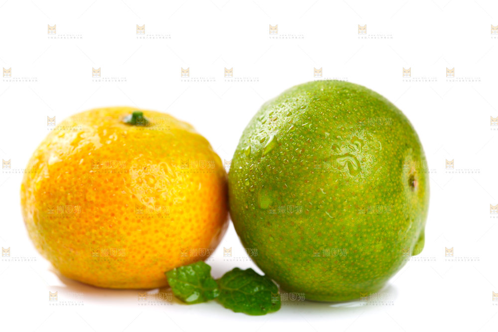 白底上的桂林清香蜜桔