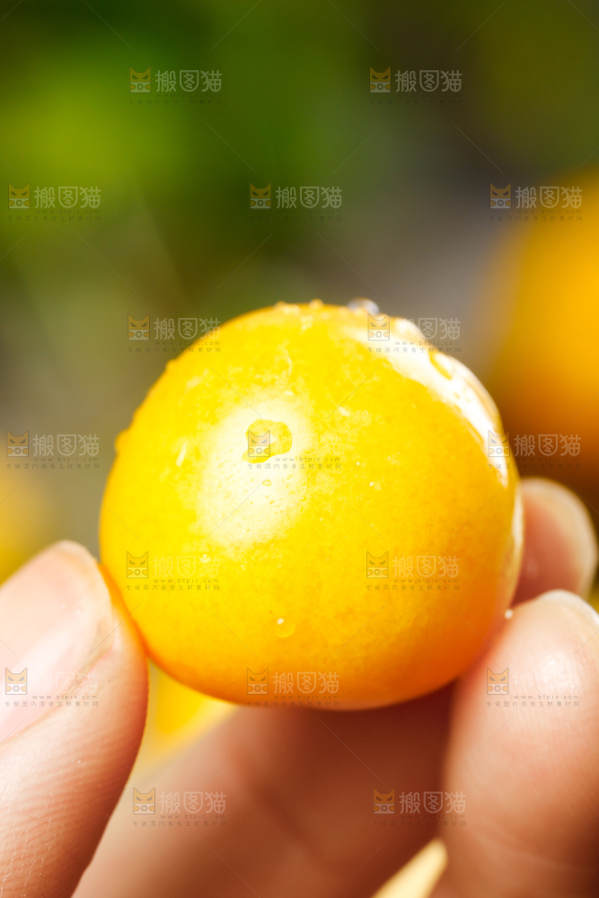 手里拿着灯笼果