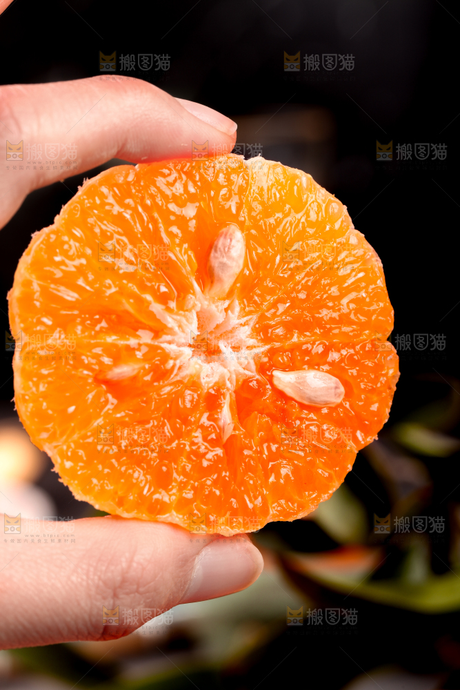 手拿沃柑果肉