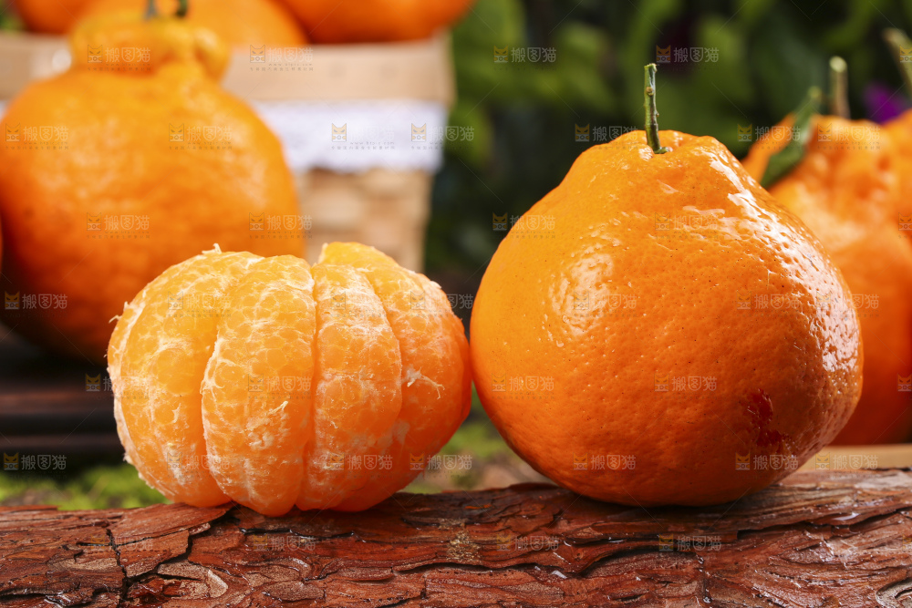 深底上放着四川春见