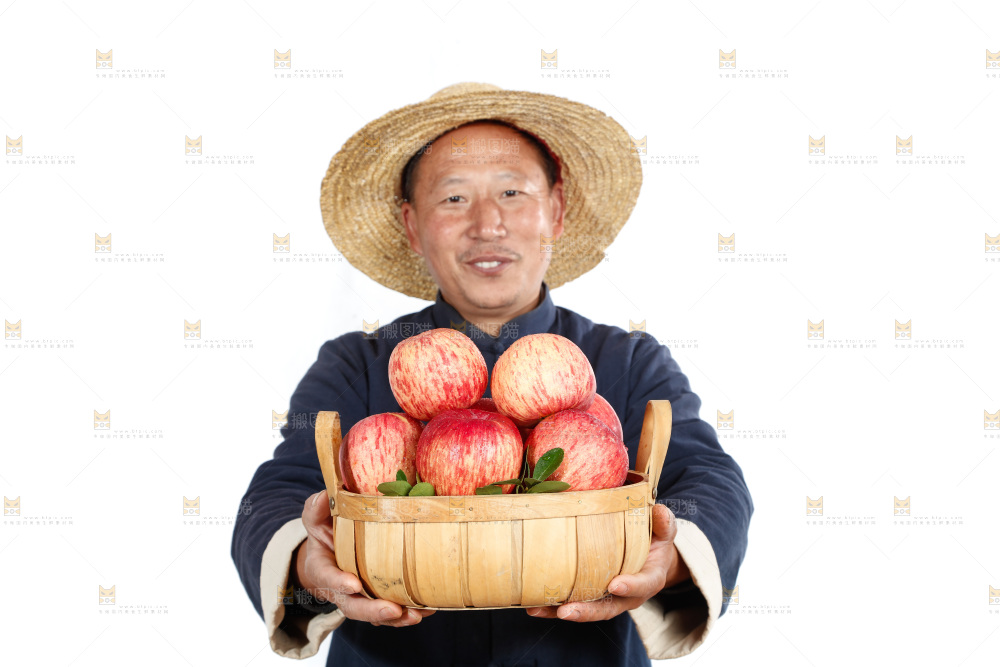 农民手里端着一篮苹果