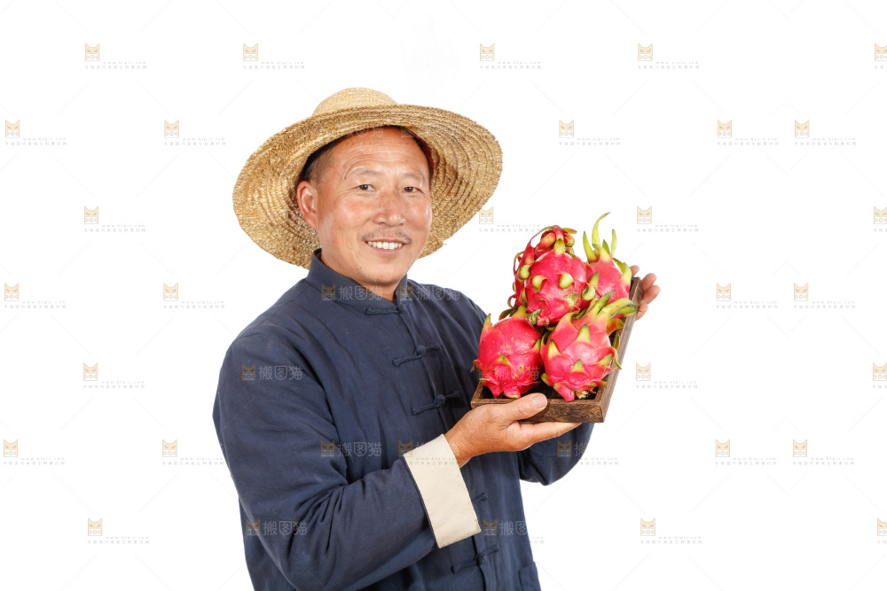 农民手里端着火龙果
