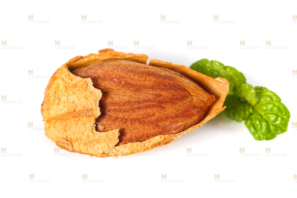 剥壳的扁桃仁放在白底上