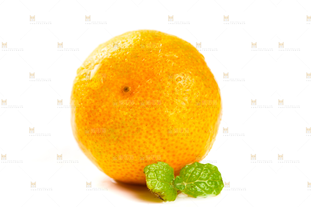 白底上的桂林清香蜜桔