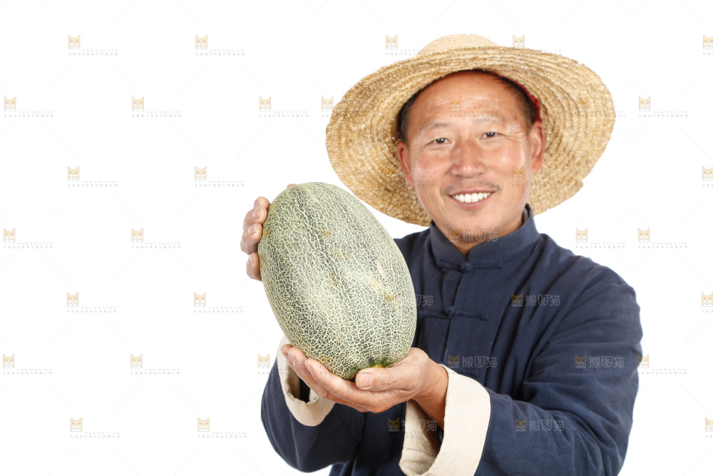 农民手里拿着哈蜜瓜