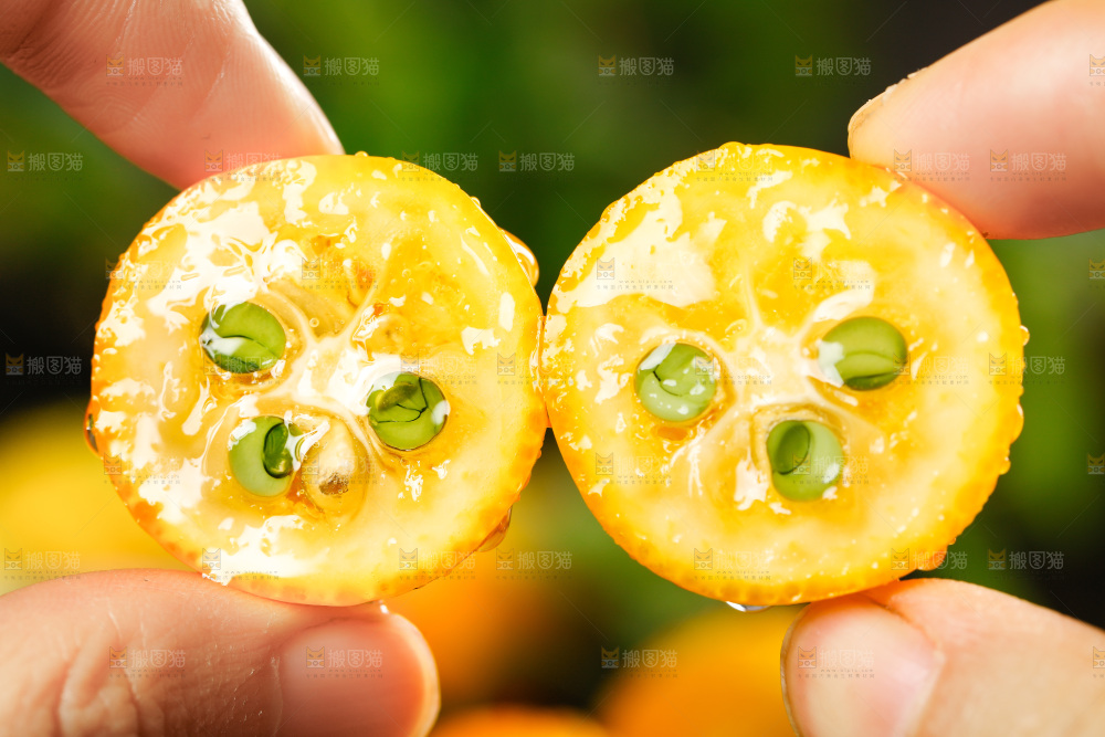 手里拿着小金桔