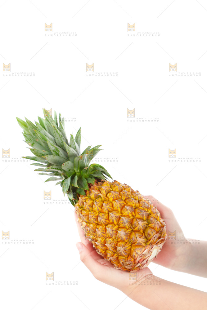 手上拿着凤梨