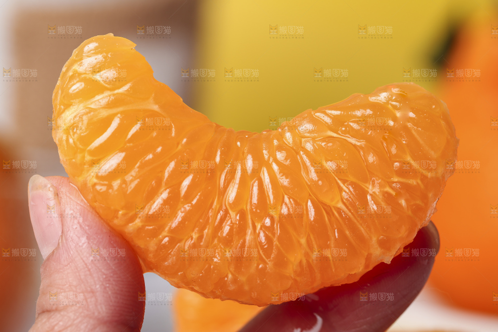 手上拿着春见果肉