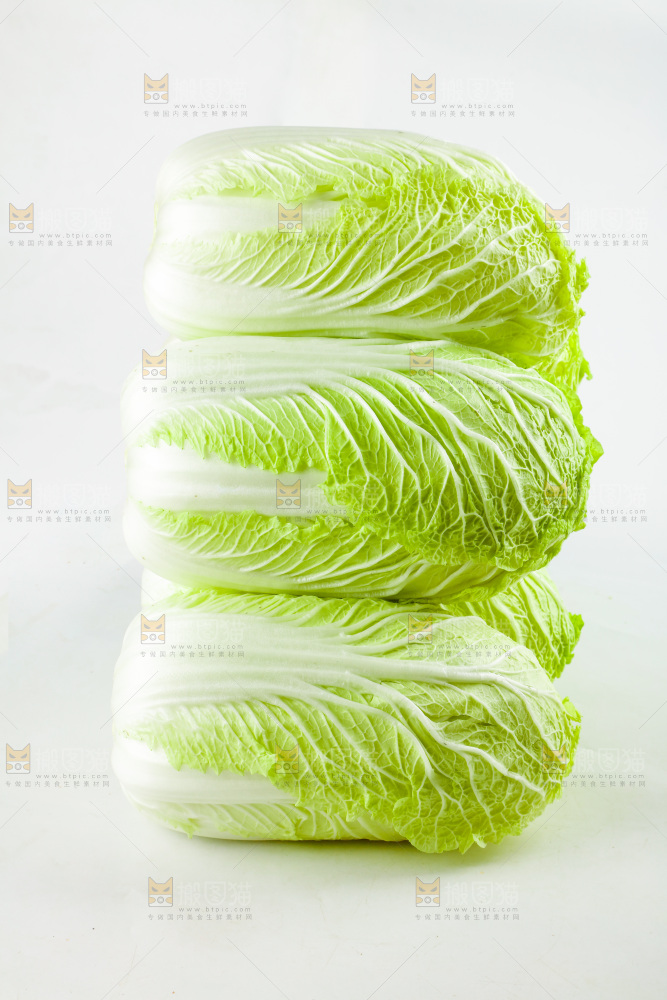 白底上的新鲜大白菜