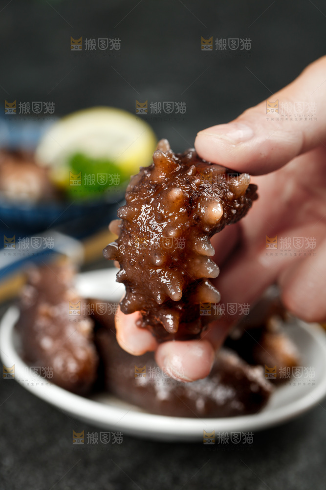 手拿刺参