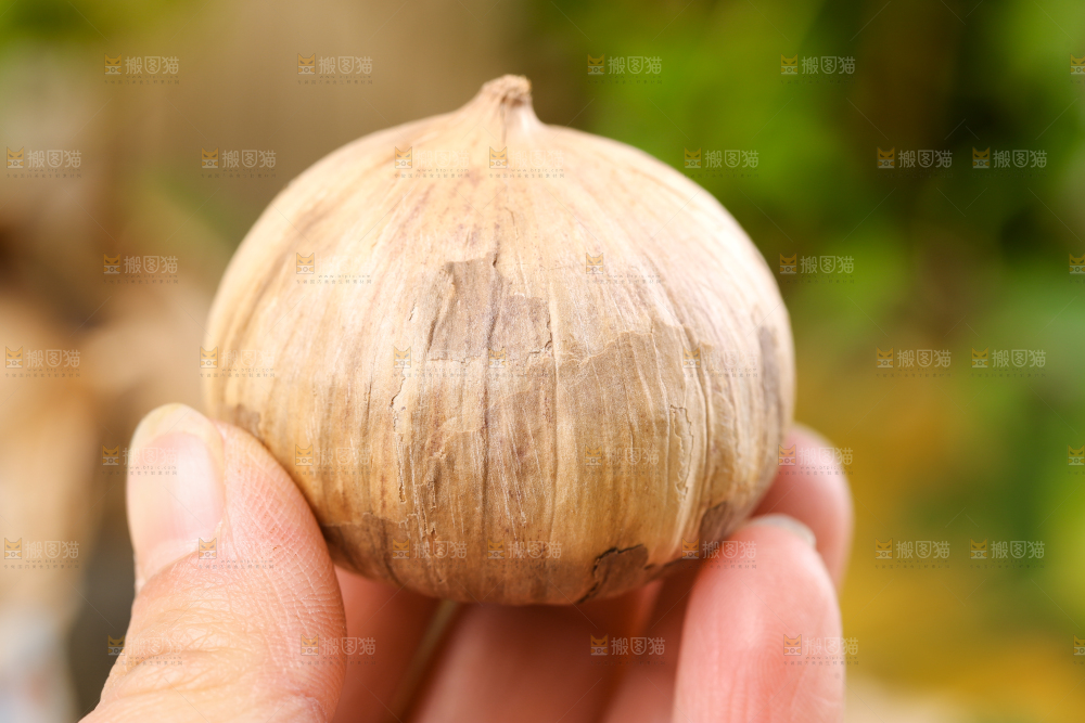 手里拿着黑蒜头