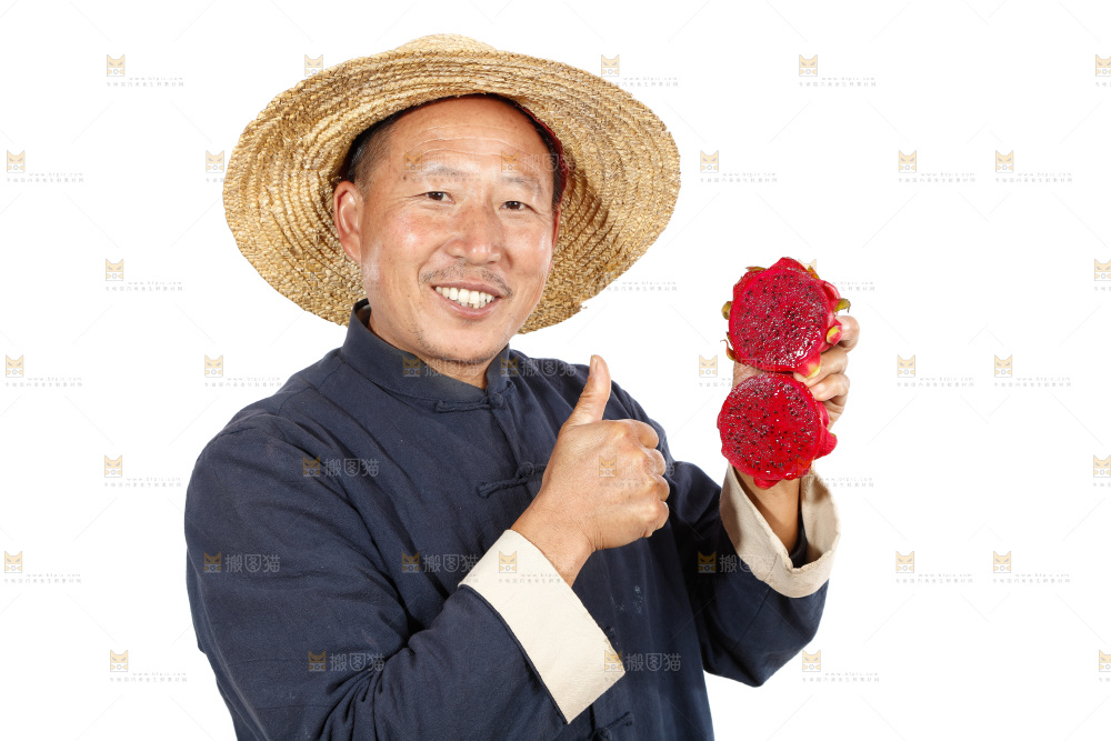 农民手里拿着红心火龙果