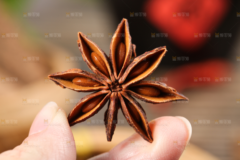 手拿八角