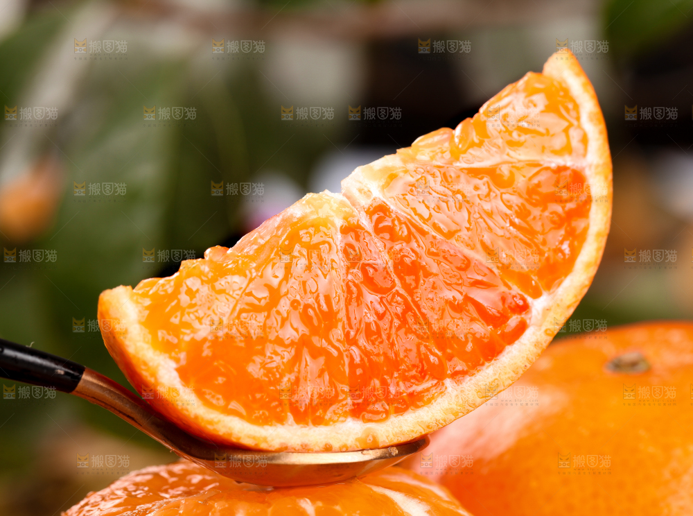 勺子里的广西沃柑