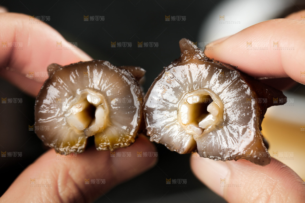手拿切开的海参