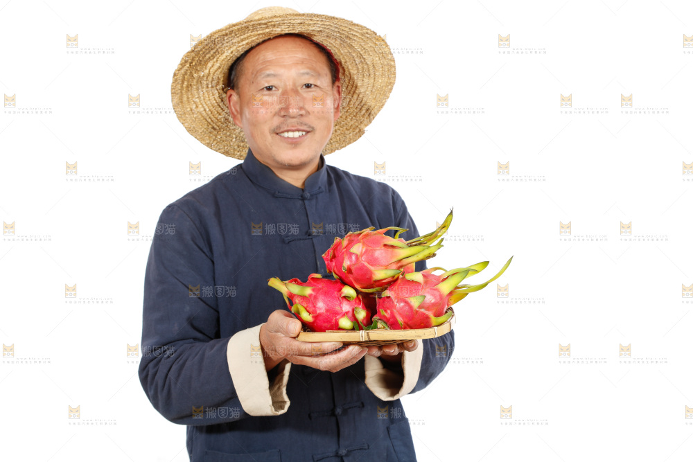 农民手里拿着火龙果