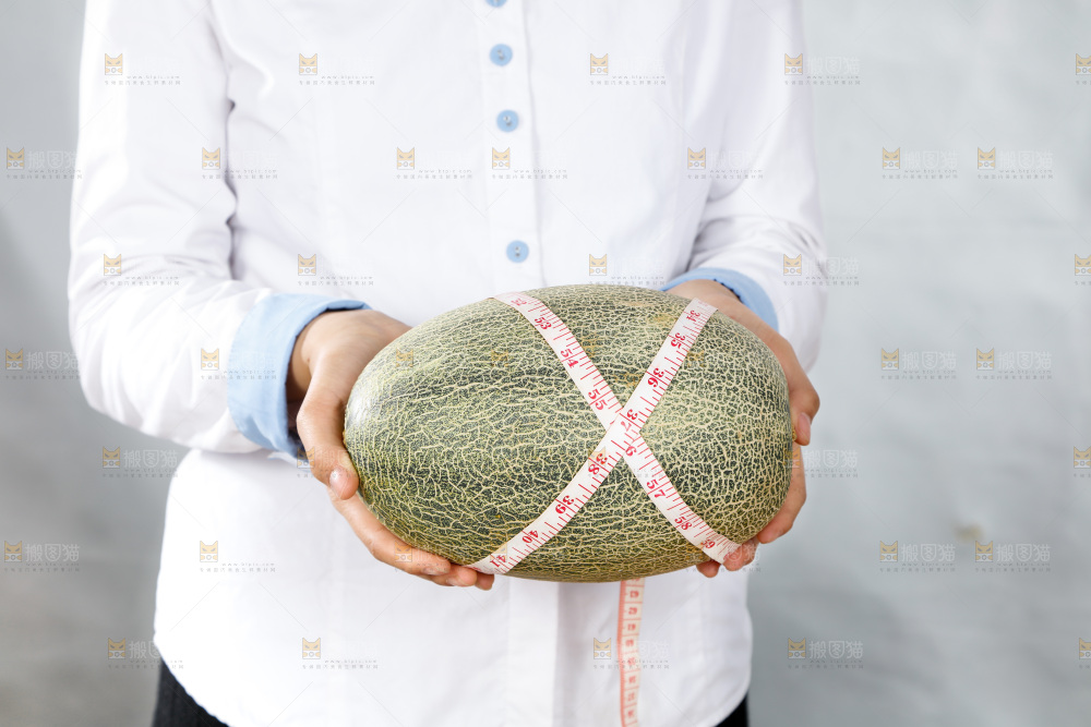 手里正在测量哈蜜瓜