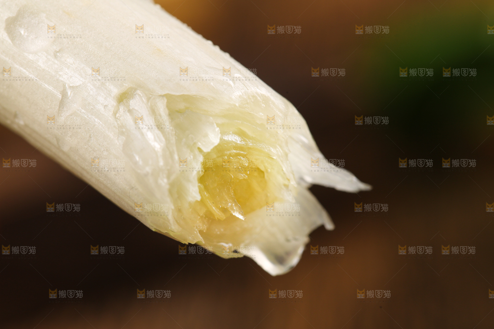 木底上的大葱