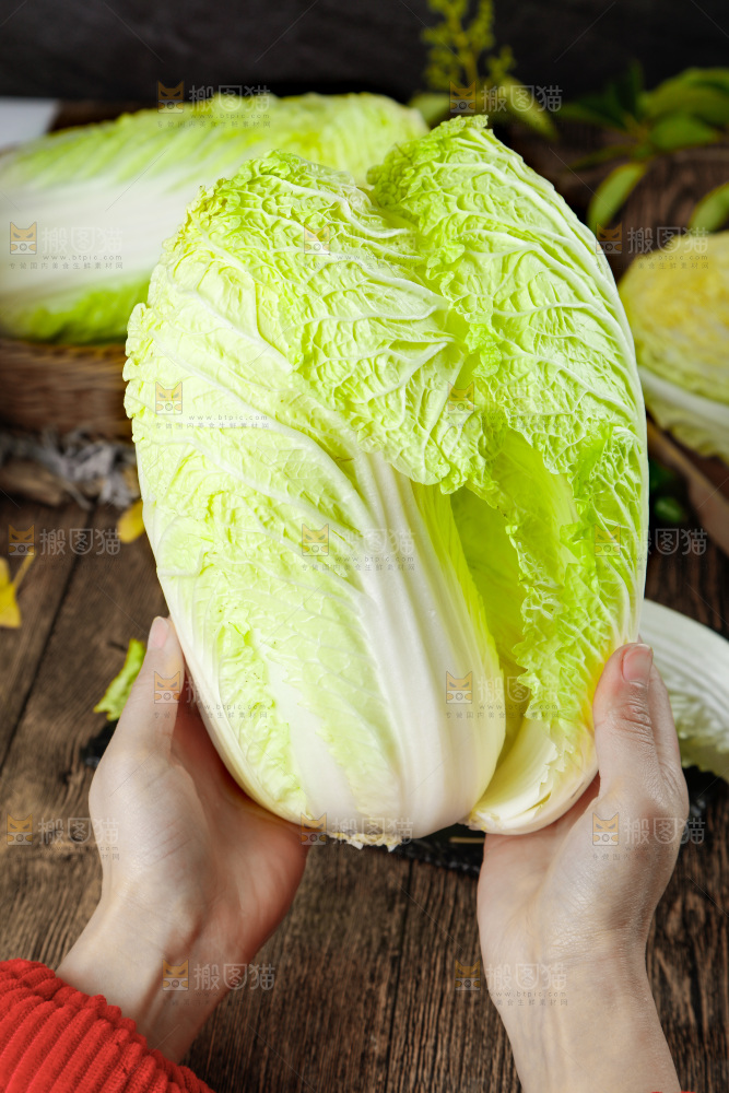 手拿大白菜