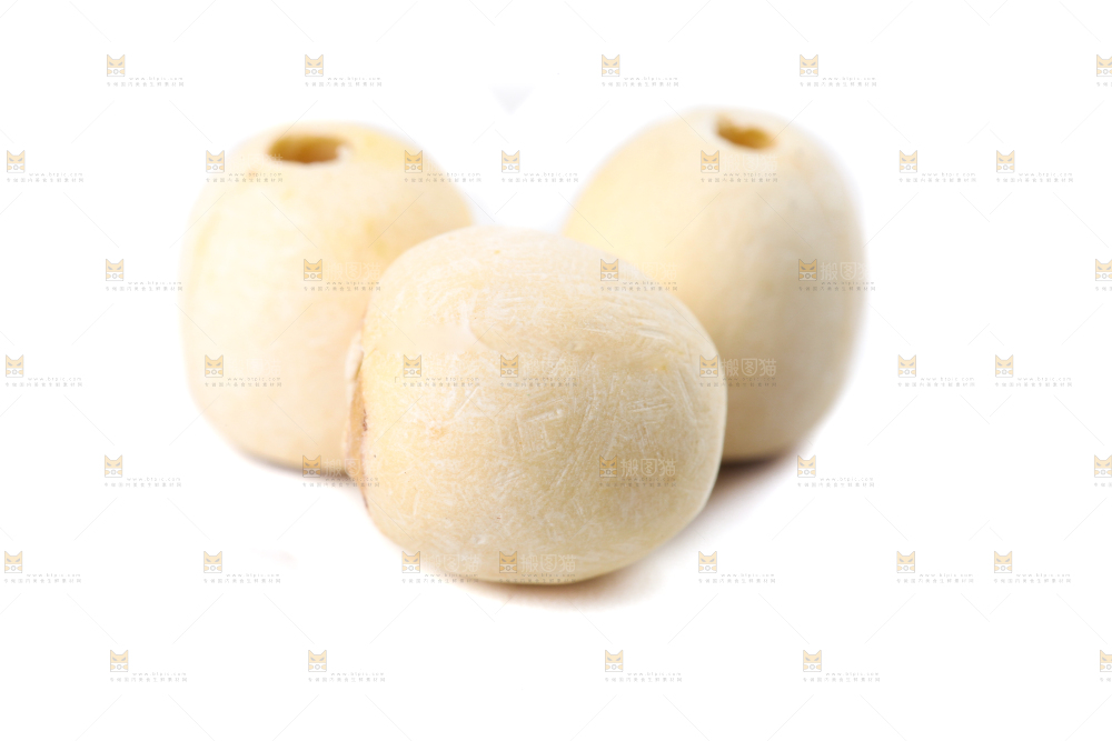 白底上的白莲子